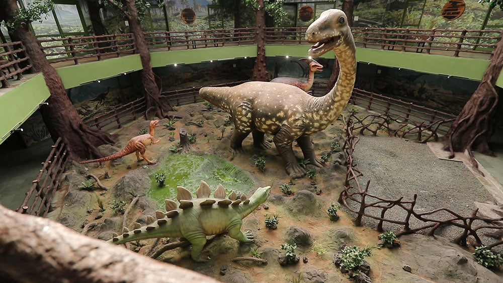 Balasinor Dinosaur Museum